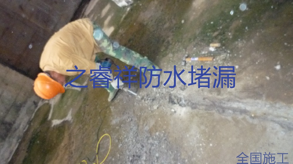 微信圖片_20211224161126_副本.jpg